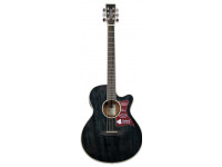 Tanglewood TW4 BS Tanglewood TW4 BS